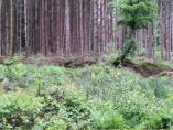 Markierungen hinter dem Wall 