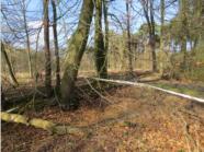 Area of the first test, A Blind with Shot in the Woods and a Mark befor the Woods
