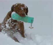 Arbeit im Schnee 3