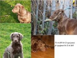 Collage von M. Vespermann