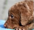 4 weeks old