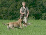 Von der Schleppe zur�ck / Back from Trialing