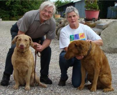 Die Hunde im Master-Test