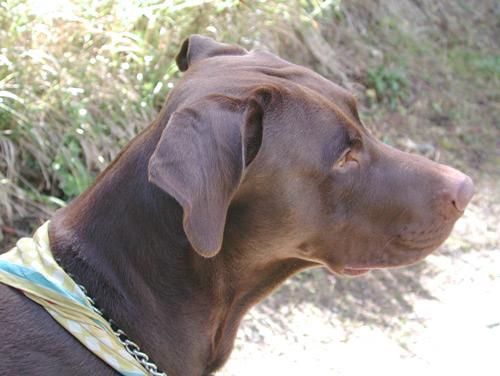 Mama Tessa 2006