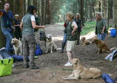 Welpenspielgarten / Kindergarden for Puppies